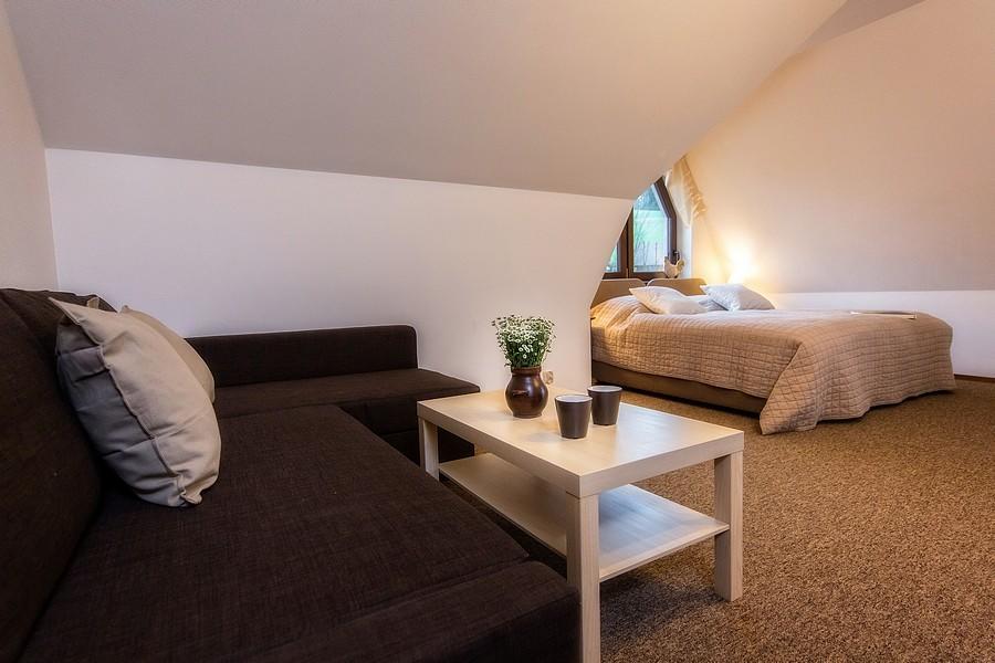 Willa Litworowka III Wellness&Spa Poronin Dış mekan fotoğraf