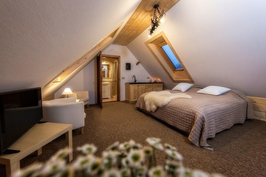 Willa Litworowka III Wellness&Spa Poronin Dış mekan fotoğraf